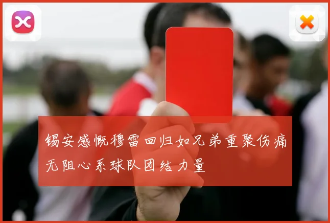 锡安感慨穆雷回归如兄弟重聚伤痛无阻心系球队团结力量