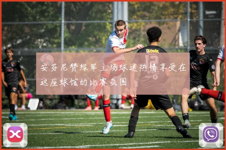安芬尼赞绿军主场球迷热情享受在这座球馆的比赛氛围