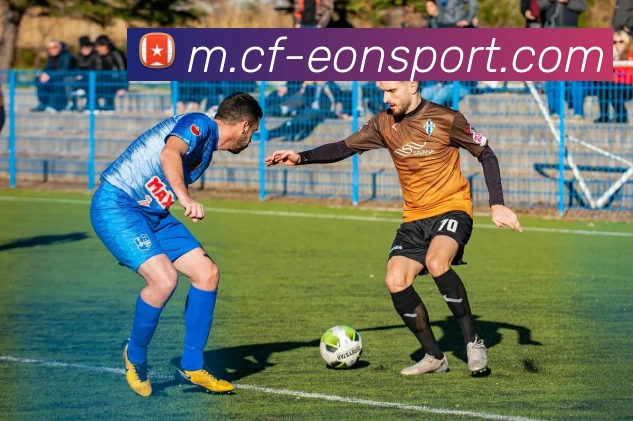 App Interface Preview