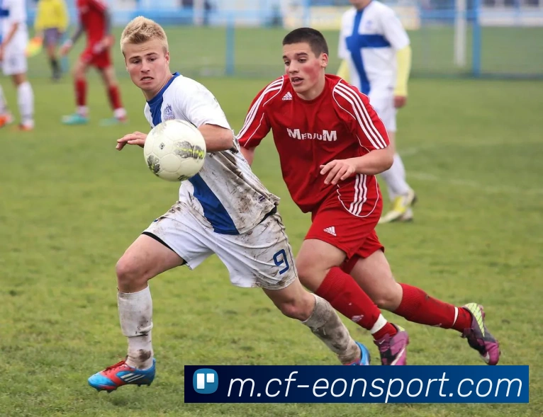 沙巴体育APP 封面图