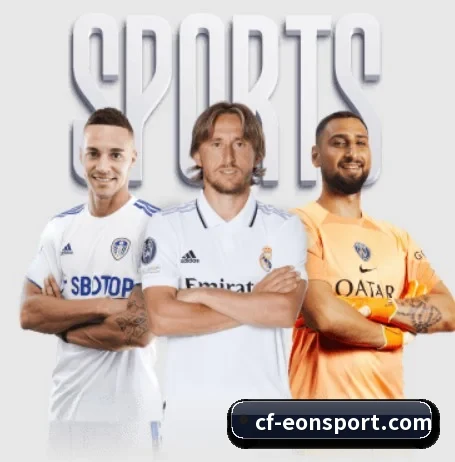 坚持做好基础的事（SabaSports）